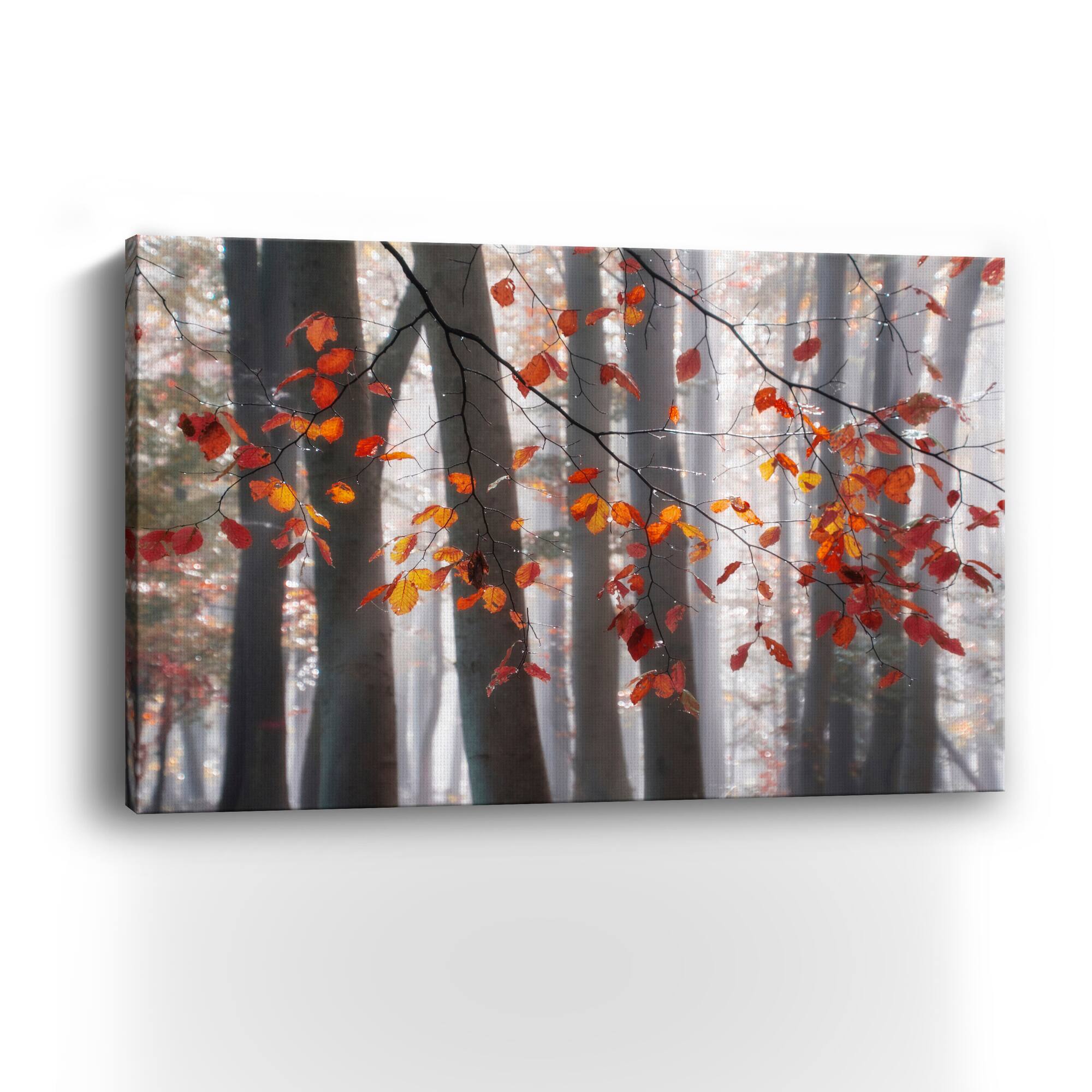 Falling Moments Canvas Giclee